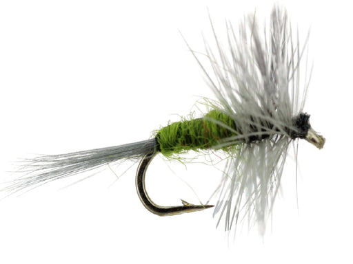 Blue Wing Olive Dry Fly Pattern | Wild Water Fly Fishing