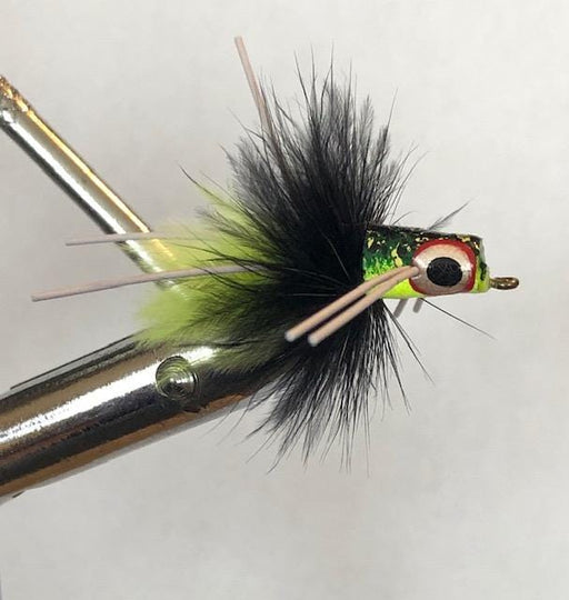 Popper Flies | Wild Water Fly Fishing