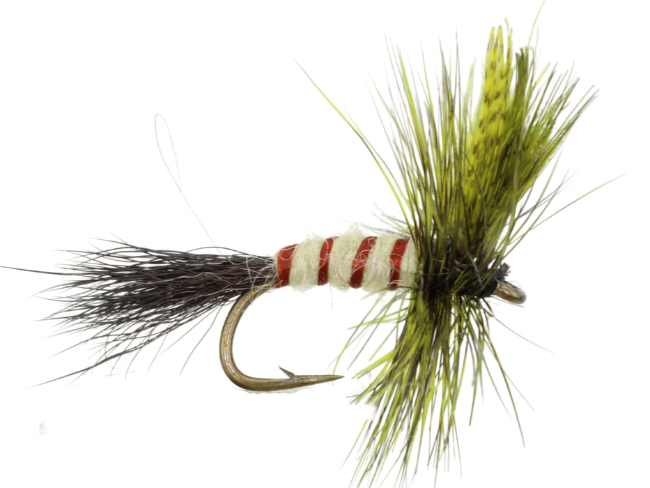 Olive Eastern Drake Fly | Wild Water Fly Fishing