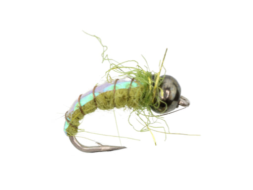 Wild Water Fly Fishing Olive Electric Caddis, Size 16, Qty. 6